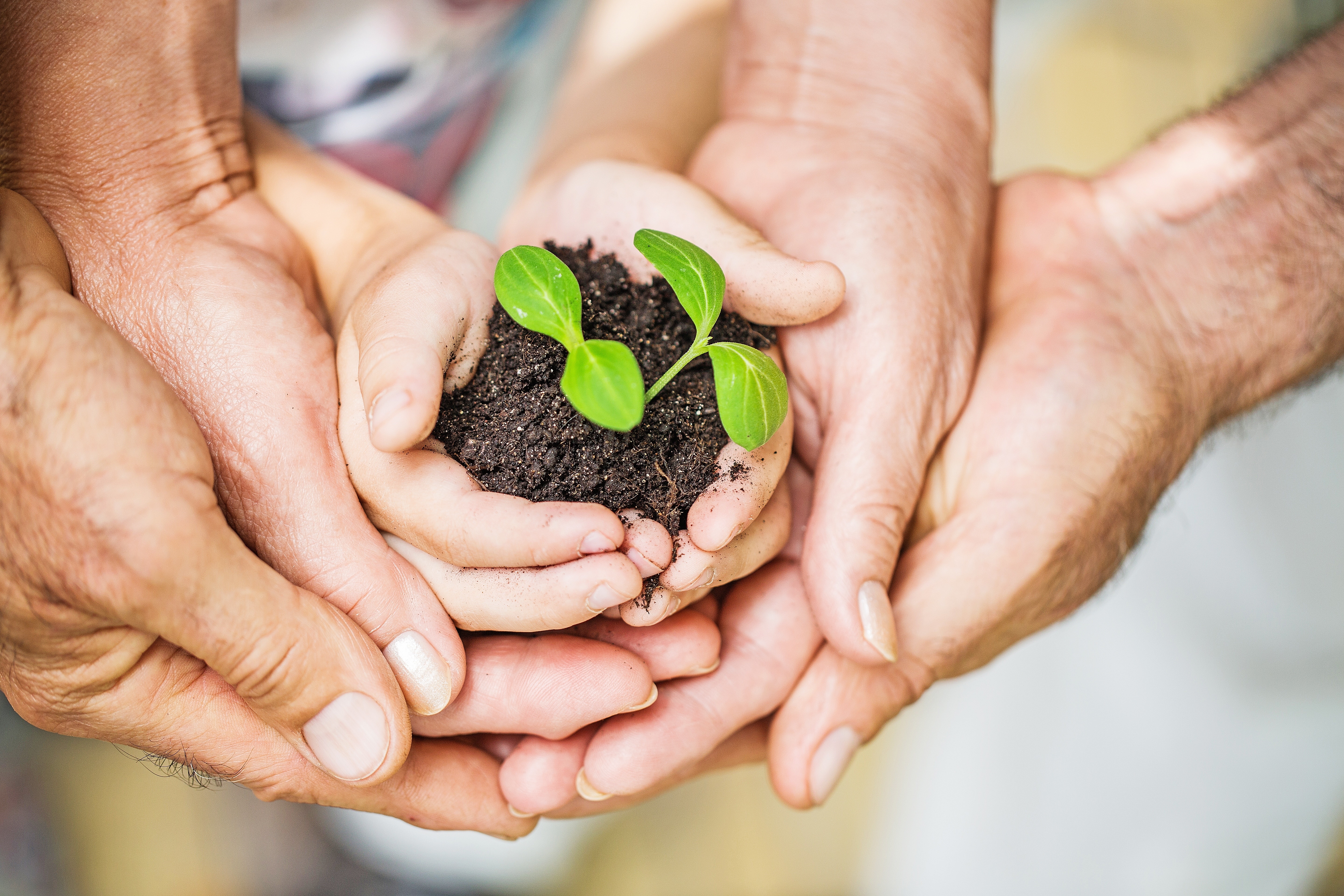 10 easy ways you can help protect the environment